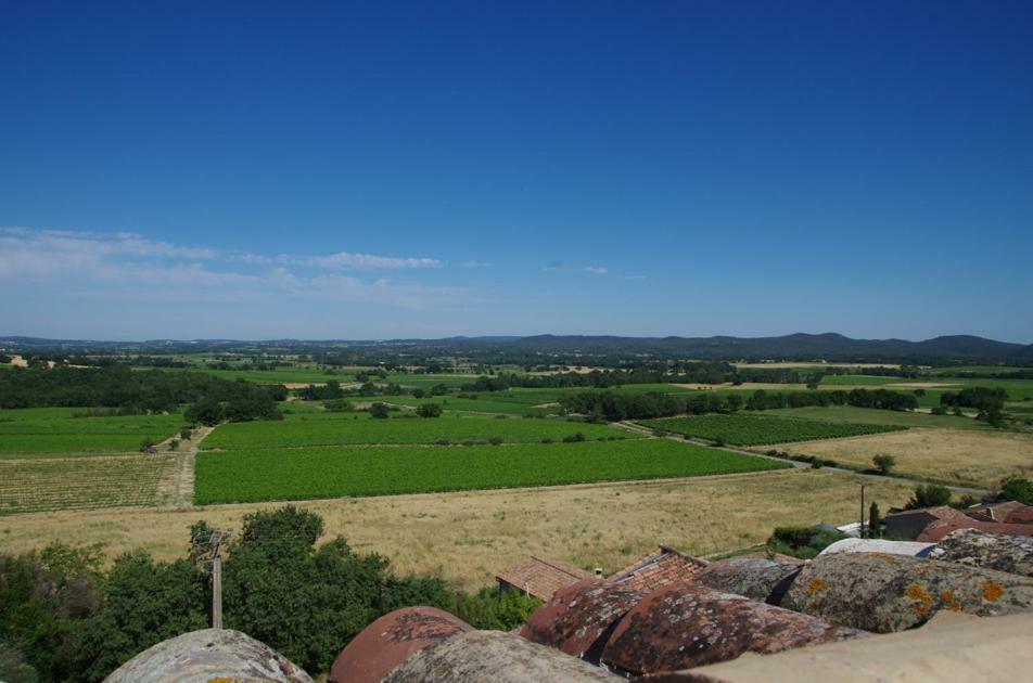 Le Mas De Crieulon Saint-Jean-de-Crieulon Kültér fotó